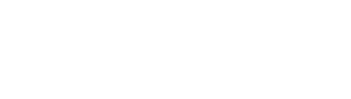 L2IV logo